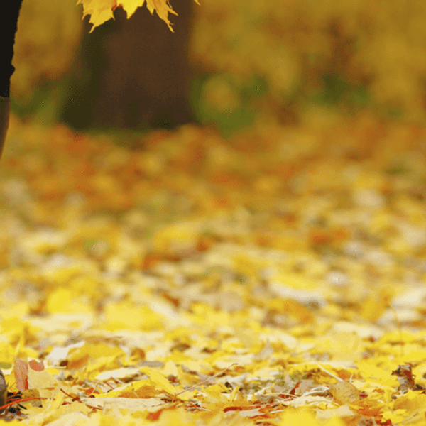 5 Pieces To Spice Up Your Fall Wardrobe