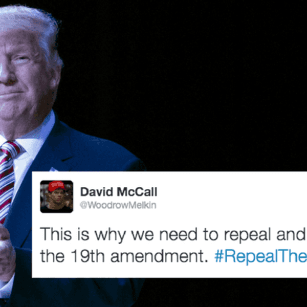 Repeal The 19th Amendment