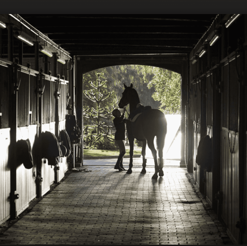 Equestrians — Why Do We Do It?