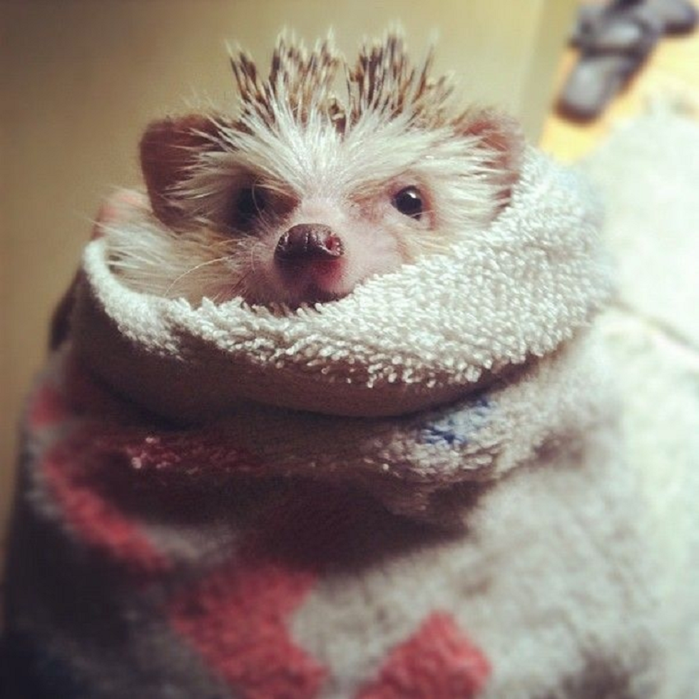 15 Reasons To Put On A Scarf Right Now