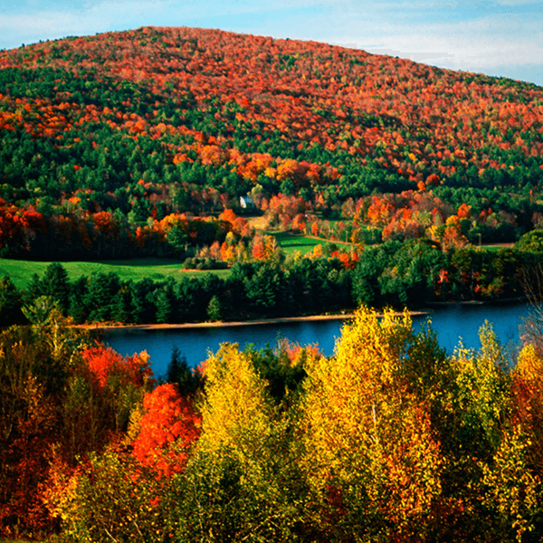 5 Things Northerners Miss About Real Fall