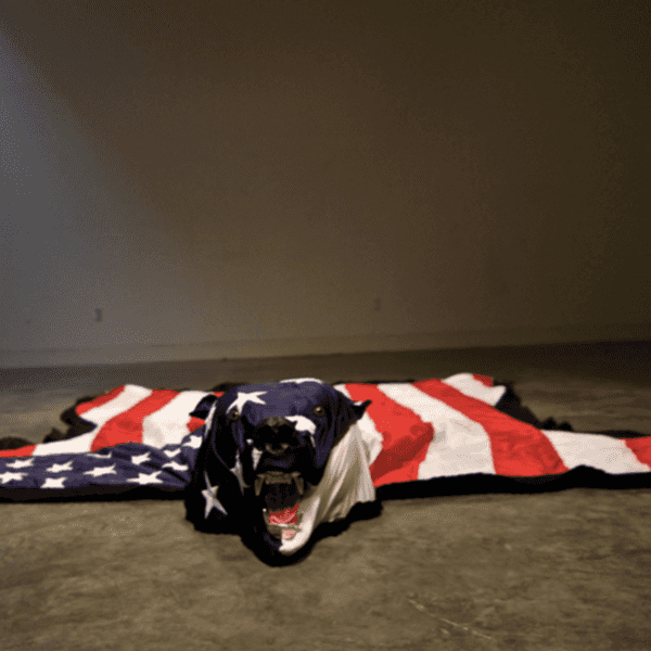 The Real American History