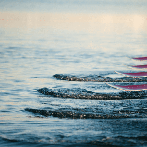 13 Things Rowers Want You To Know