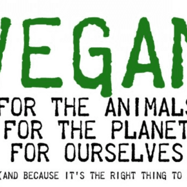 14 Vegan Life Hacks