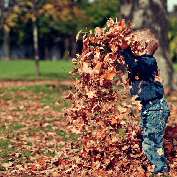 Why Fall Is The Best Season