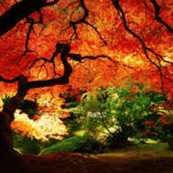 Why Fall Is The Best Season