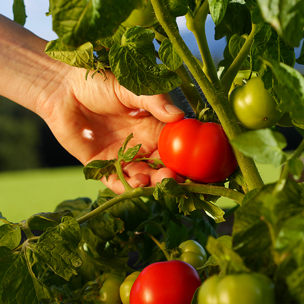 The Day I Was Hit By A Hoe