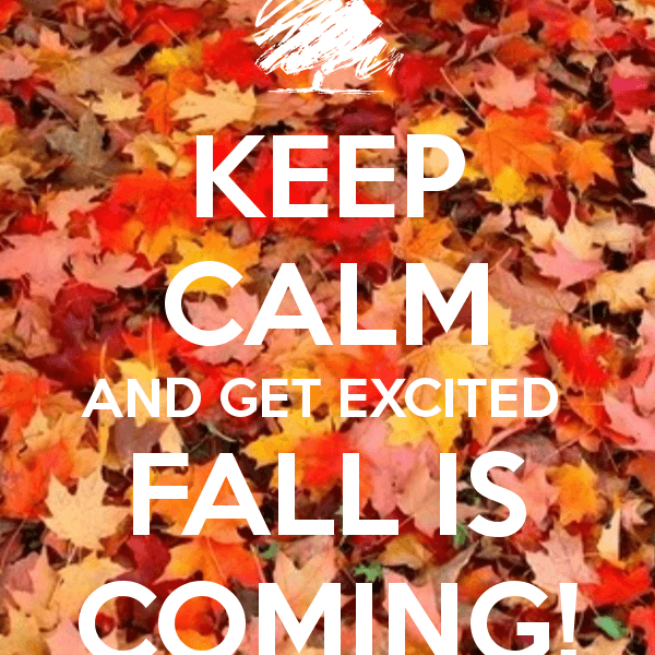 It's Almost Fall, Y'all!!!