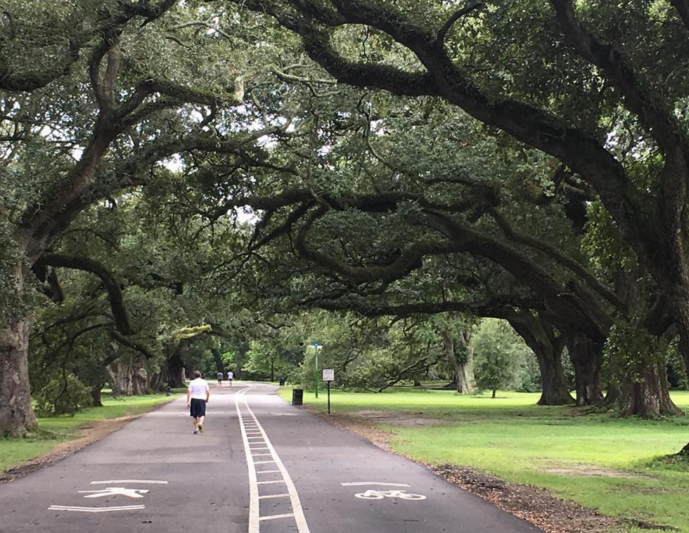 Audubon Park Should Be Your New Hangout Spot
