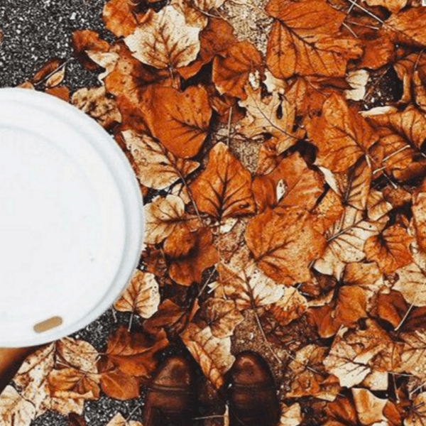 13 Signs That Fall Is Right Around The Corner
