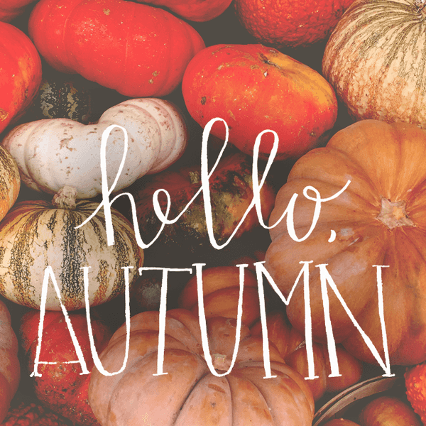 Top 10 Things You Need On Your Fall Bucket List