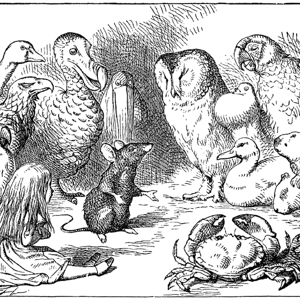 Lesser Known Gems in Alice In Wonderland