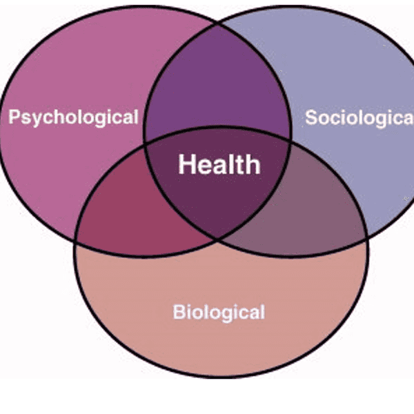 The Trifecta of Mental Health