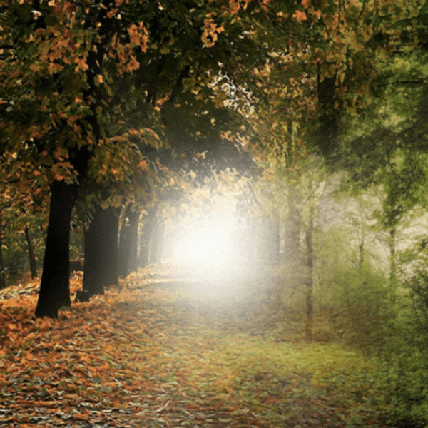 Mother Nature Stop Being So Bipolar