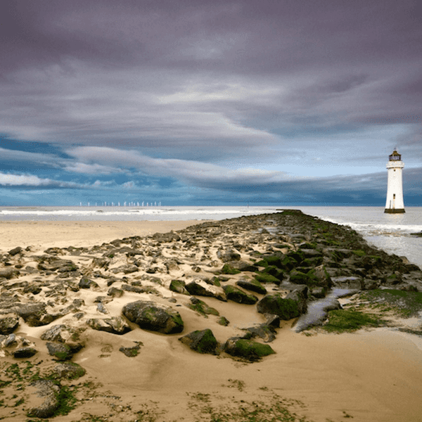 6 Signs You Went To New Brighton Area School District