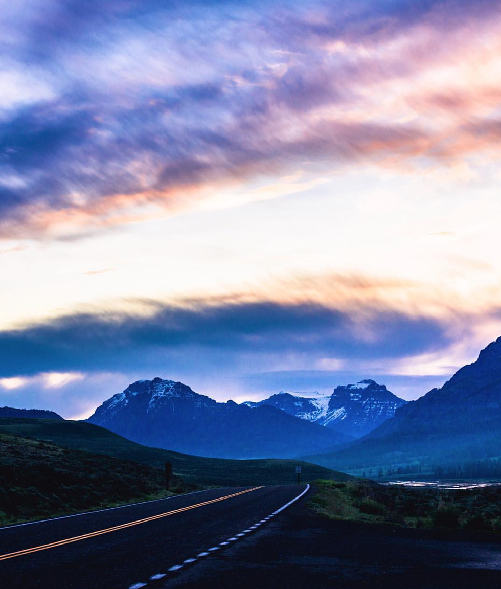 Fighting My Inner-Turtle