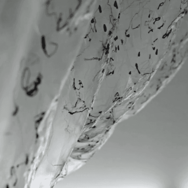 Art is Life. Life is Art