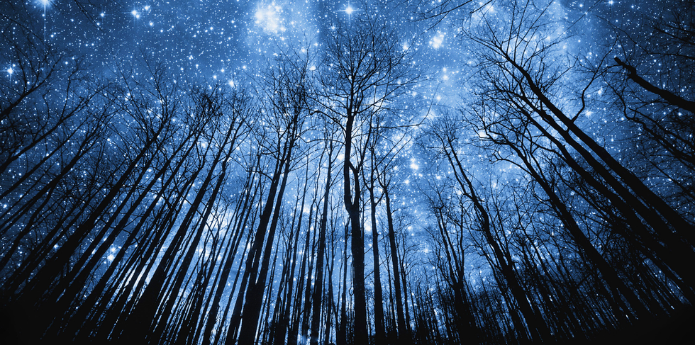 Appreciate The Small Things In Life