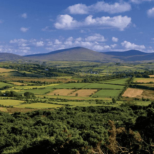 10 Poems to Sum Up My Trip to Ireland