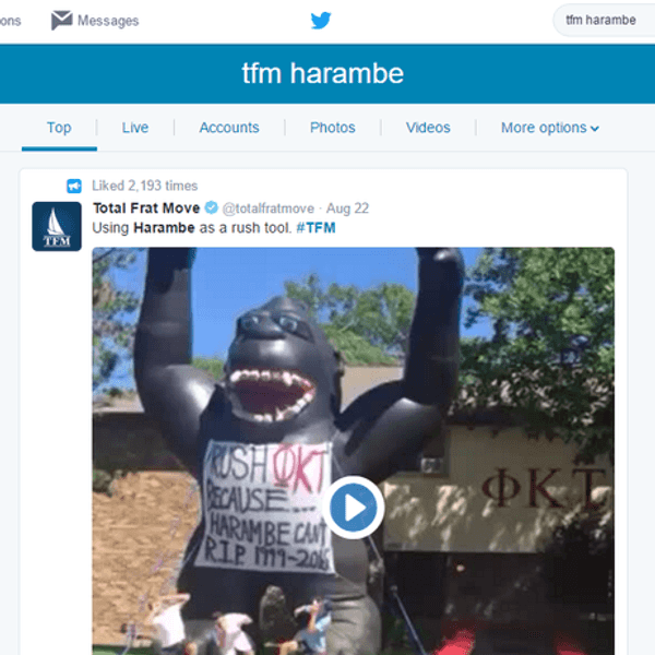 Diary Of Harambe