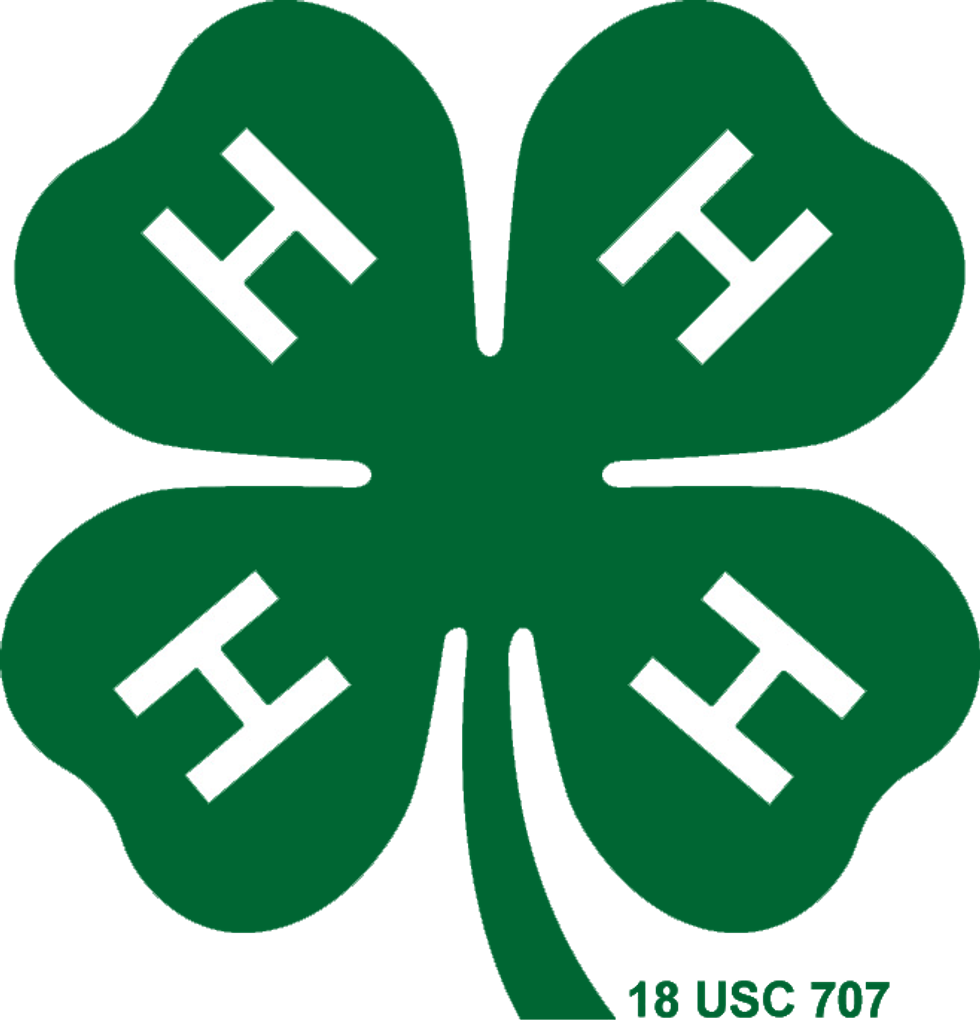6 Things I Miss And Remember About Georgia 4-H