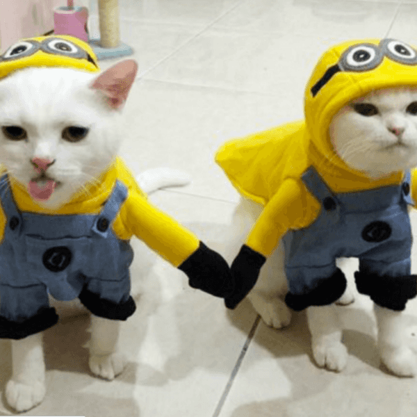 21 Photos To Make You Smile