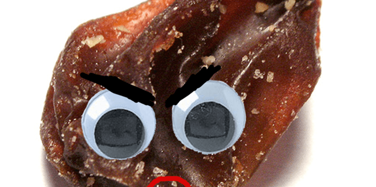 Raisins Are The WORST The Odyssey Online raisins-are-the-worst-the-odyssey-online