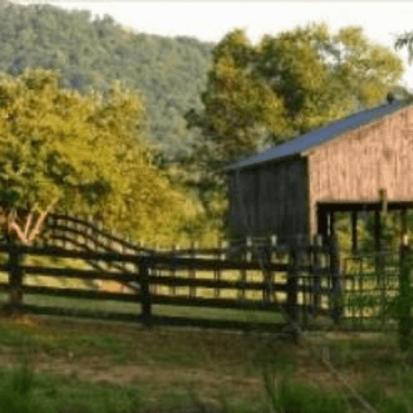 Why I Love Kentucky