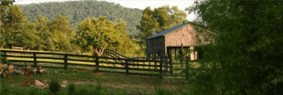 Why I Love Kentucky
