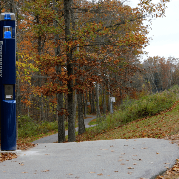 11 Quotes To Get Through The First Few Weeks Of College