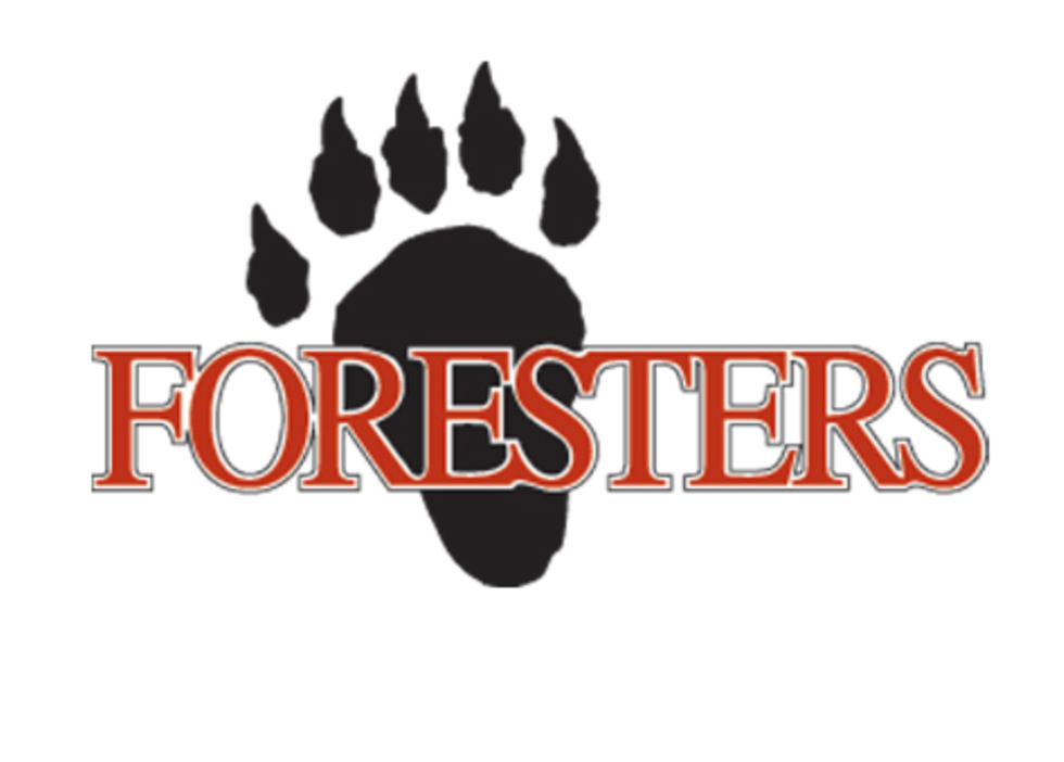 Another Fantastic Fall Ahead For The Foresters