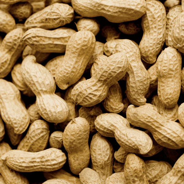 Living With a Life-Threatening Nut Allergy