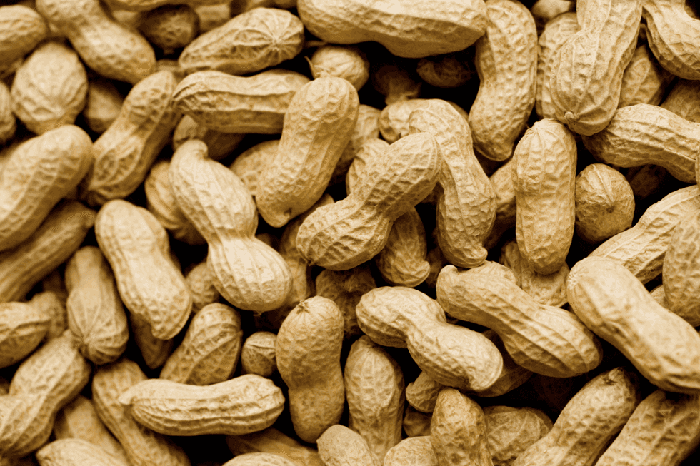 Living With a Life-Threatening Nut Allergy