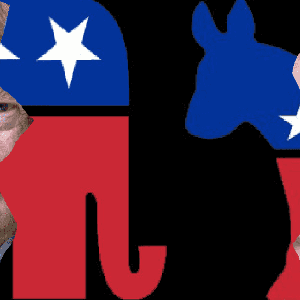 A Look At The Divides In The Republican and Democratic Parties