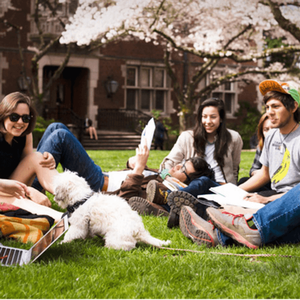 An Open Letter To The Old Folk