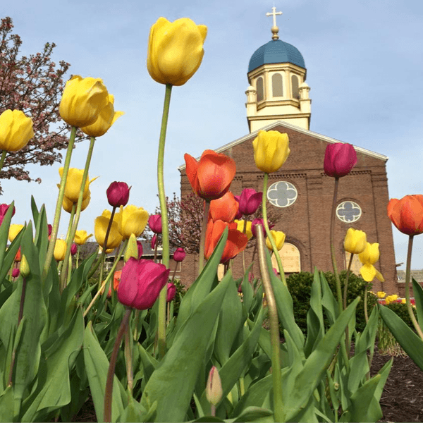 15 Things My First 2 Years Of College Taught Me