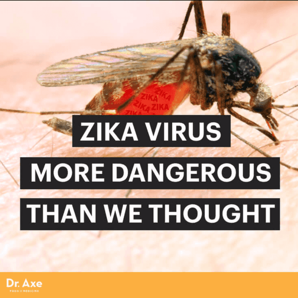 Why It Is Important Zika Is Contained