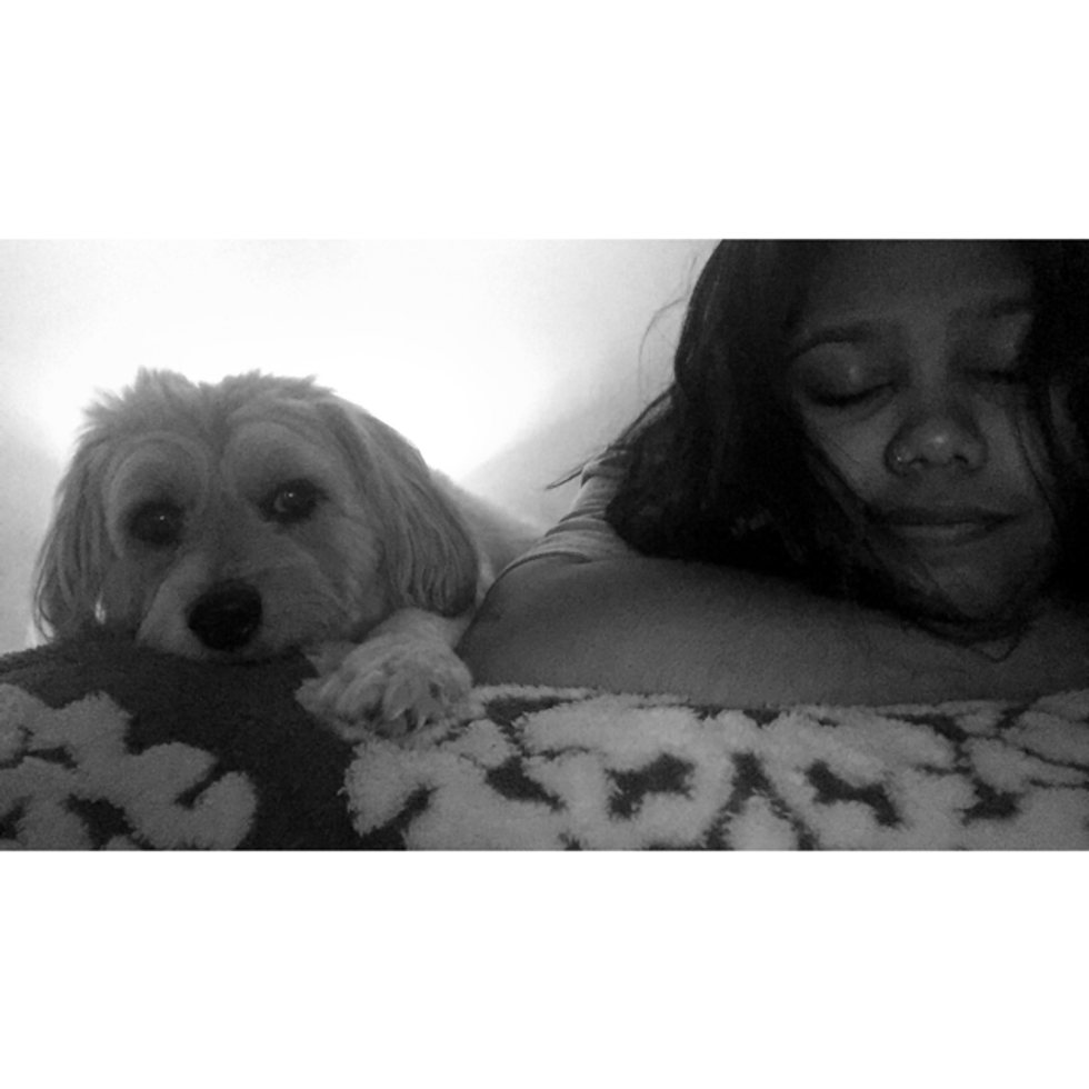 A Letter To My Dog Before I Leave For College