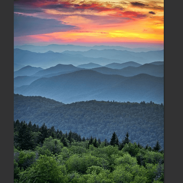 8 Bible Verses That Will Inspire You