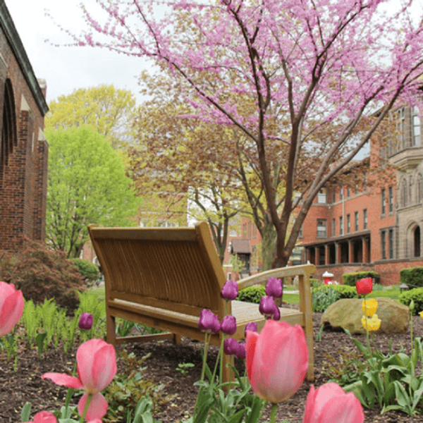 10 Signs You Attend A Small College