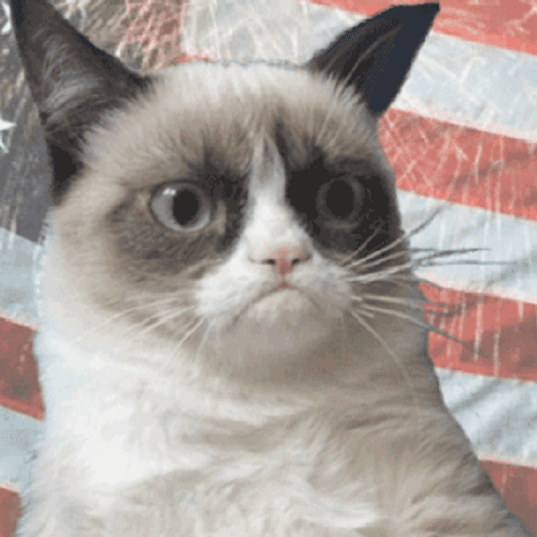 You Can't Make America Great Again, The Greatness Never Left