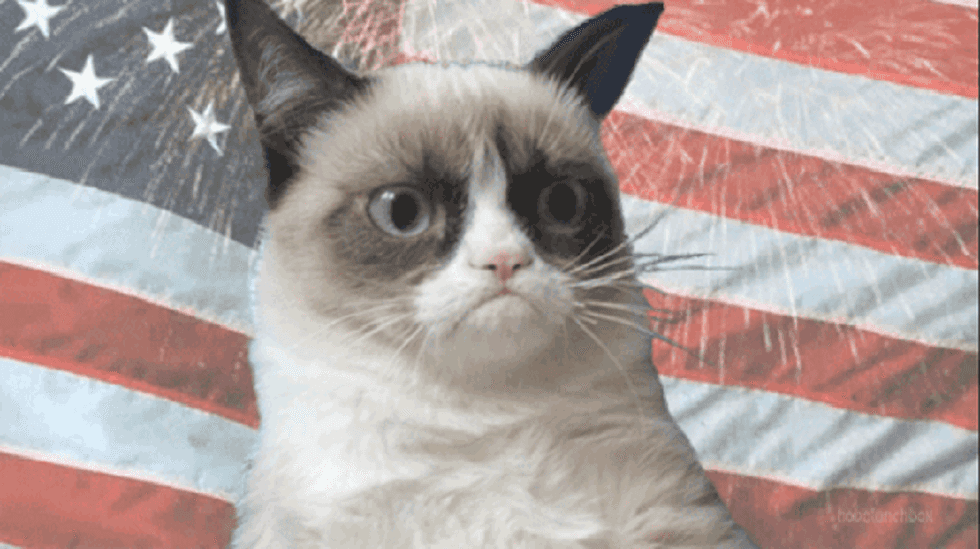 You Can't Make America Great Again, The Greatness Never Left