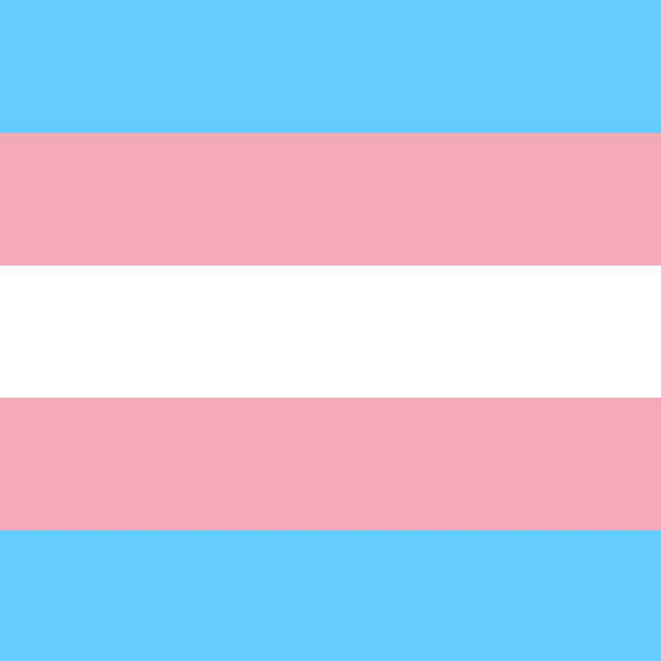 Trans Teens Talk