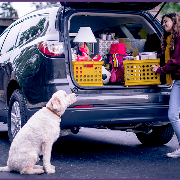 Dear Incoming Freshmen At LSU