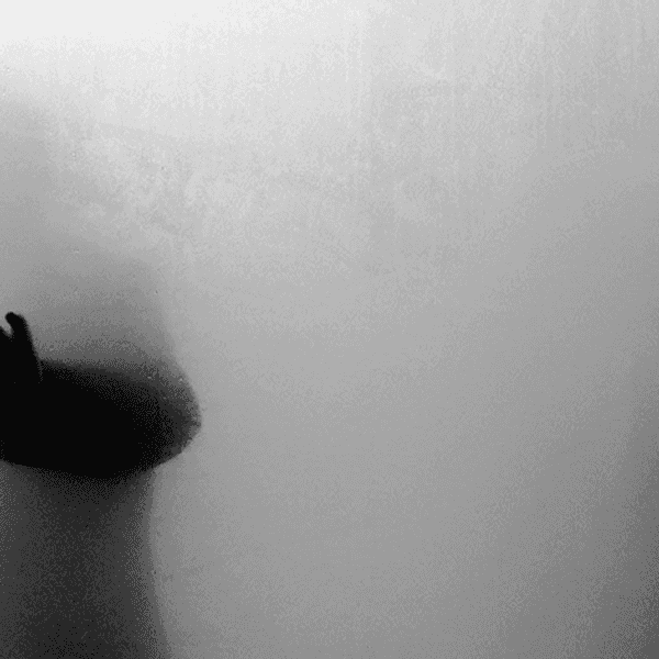 Why Do We Fear Failure
