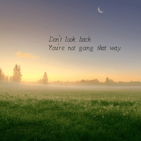To The Person Contemplating Going Back To Their EX