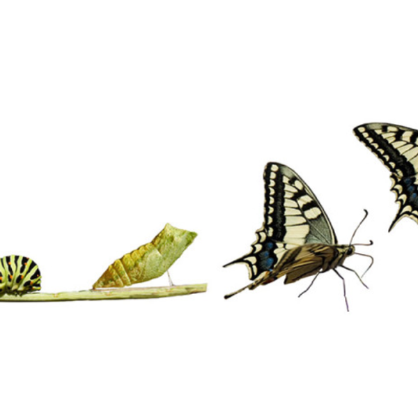 5 Reasons Why Change Is Important