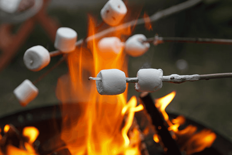 The Marshmallow Analogy