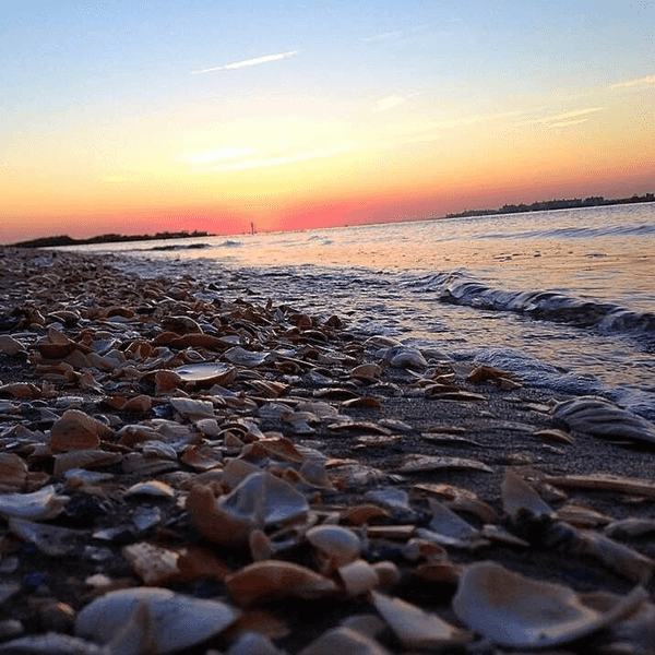 9 Reasons To Love The Beach