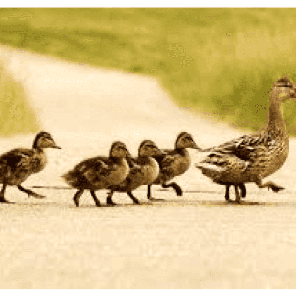 When You're Called To Be A Leader